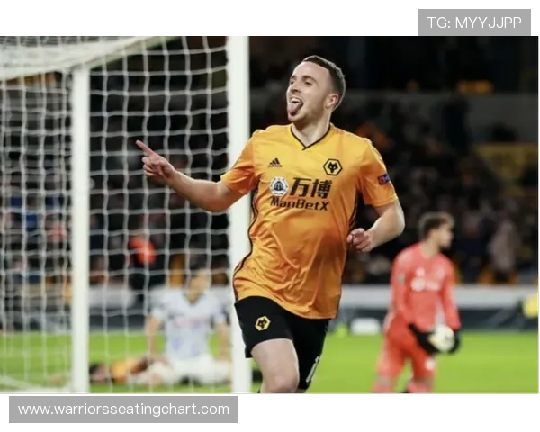 狼队战术调整见成效，新赛季表现稳健备受关注