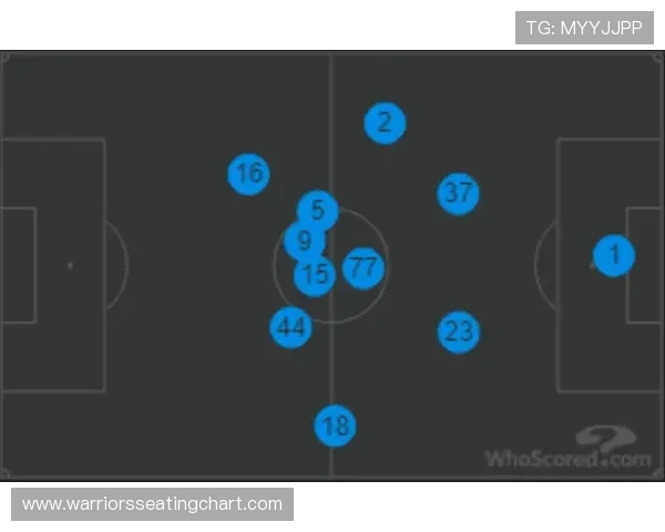 支点+终结结合：弗拉霍维奇的战术价值